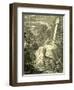 Stag Austria 1891-null-Framed Giclee Print