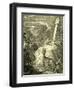 Stag Austria 1891-null-Framed Giclee Print