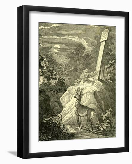 Stag Austria 1891-null-Framed Giclee Print