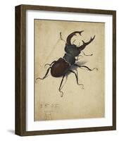 Stag Beetle, 1505-Albrecht Durer-Framed Premium Giclee Print
