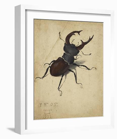 Stag Beetle, 1505-Albrecht Durer-Framed Premium Giclee Print