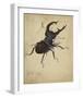 Stag Beetle, 1505-Albrecht Durer-Framed Premium Giclee Print