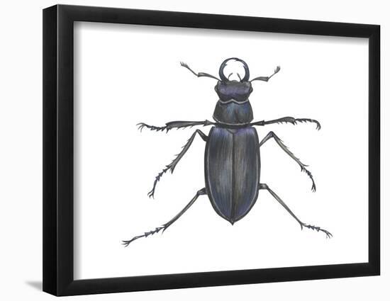 Stag Beetle (Lucanus Capreolus), Insects-Encyclopaedia Britannica-Framed Poster