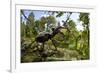 Stag Beetle (Lucanus Cervus) Male on Oak Tree. Elbe, Germany, June-Solvin Zankl-Framed Photographic Print