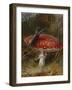 Stag Beetle on a Toadstool, 1928-Archibald Thorburn-Framed Giclee Print