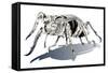 Stag Beetle-HR-FM-Framed Stretched Canvas