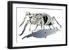 Stag Beetle-HR-FM-Framed Art Print