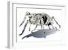 Stag Beetle-HR-FM-Framed Art Print