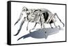 Stag Beetle-HR-FM-Framed Stretched Canvas