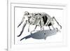 Stag Beetle-HR-FM-Framed Premium Giclee Print