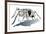 Stag Beetle-HR-FM-Framed Premium Giclee Print