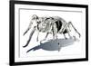 Stag Beetle-HR-FM-Framed Premium Giclee Print