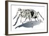 Stag Beetle-HR-FM-Framed Art Print