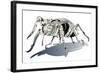 Stag Beetle-HR-FM-Framed Art Print