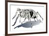 Stag Beetle-HR-FM-Framed Art Print