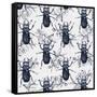 Stag Beetles, 2017-Andrew Watson-Framed Stretched Canvas