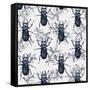 Stag Beetles, 2017-Andrew Watson-Framed Stretched Canvas