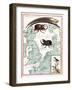 Stag Beetles Crawling Over Map, 18th Century-Science Source-Framed Giclee Print