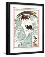 Stag Beetles Crawling Over Map, 18th Century-Science Source-Framed Giclee Print