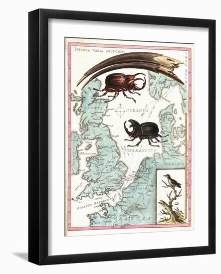 Stag Beetles Crawling Over Map, 18th Century-Science Source-Framed Giclee Print