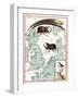 Stag Beetles Crawling Over Map, 18th Century-Science Source-Framed Giclee Print