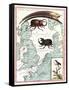 Stag Beetles Crawling Over Map, 18th Century-Science Source-Framed Stretched Canvas