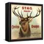 Stag Brand - Azusa, California - Citrus Crate Label-Lantern Press-Framed Stretched Canvas