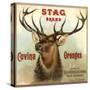 Stag Brand - Azusa, California - Citrus Crate Label-Lantern Press-Stretched Canvas