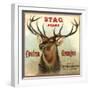 Stag Brand - Azusa, California - Citrus Crate Label-Lantern Press-Framed Art Print