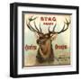 Stag Brand - Azusa, California - Citrus Crate Label-Lantern Press-Framed Art Print