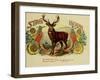 Stag Cig-Vintage Apple Collection-Framed Giclee Print