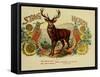 Stag Cig-Vintage Apple Collection-Framed Stretched Canvas