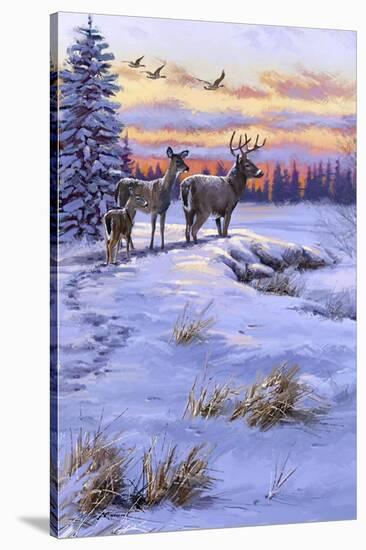 Stag Family-The Macneil Studio-Stretched Canvas
