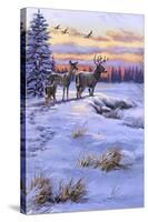 Stag Family-The Macneil Studio-Stretched Canvas