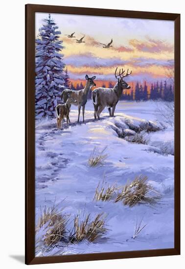 Stag Family-The Macneil Studio-Framed Giclee Print