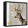 Stag I-Aimee Wilson-Framed Stretched Canvas
