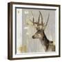 Stag I-Aimee Wilson-Framed Art Print