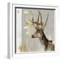 Stag I-Aimee Wilson-Framed Art Print