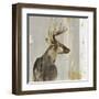 Stag II-Aimee Wilson-Framed Art Print