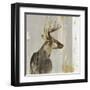 Stag II-Aimee Wilson-Framed Art Print