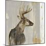 Stag II-Aimee Wilson-Mounted Art Print