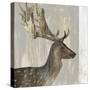 Stag III-Aimee Wilson-Stretched Canvas