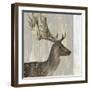 Stag III-Aimee Wilson-Framed Art Print