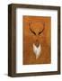 Stag - Jethro Wilson Contemporary Wildlife Print-Jethro Wilson-Framed Giclee Print