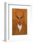 Stag - Jethro Wilson Contemporary Wildlife Print-Jethro Wilson-Framed Giclee Print