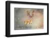 Stag of Winter-Claire Westwood-Framed Art Print