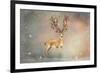 Stag of Winter-Claire Westwood-Framed Art Print