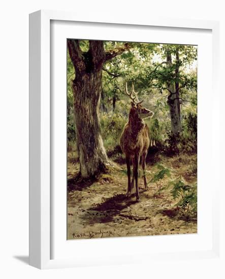 Stag on Alert in Wooded Clearing-Rosa Bonheur-Framed Giclee Print