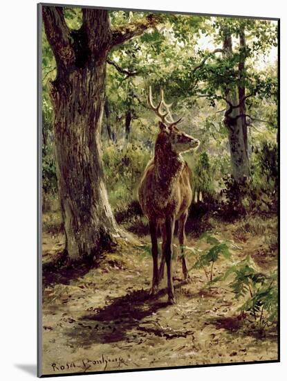 Stag on Alert in Wooded Clearing-Rosa Bonheur-Mounted Giclee Print