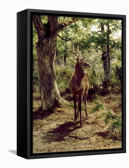 Stag on Alert in Wooded Clearing-Rosa Bonheur-Framed Stretched Canvas